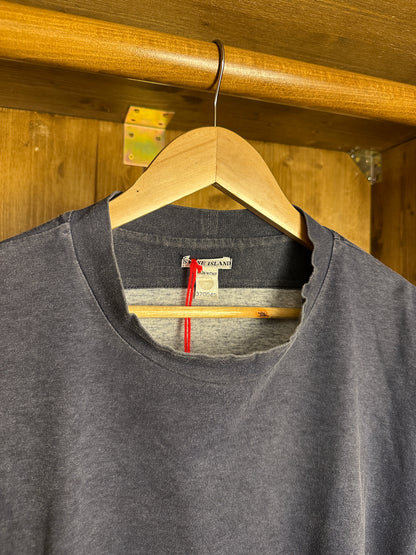SS00s EMBROIDERED SPELLOUT TEE in Faded Blue
